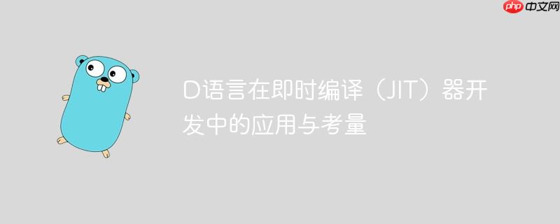 D语言在即时编译(JIT)器开发中的应用与考量