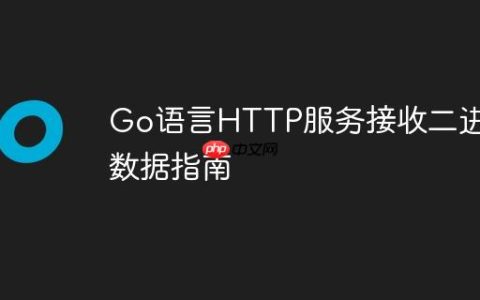Go语言HTTP服务接收二进制数据指南