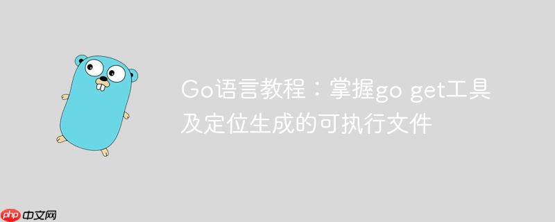 Go语言教程：掌握go get工具及定位生成的可执行文件