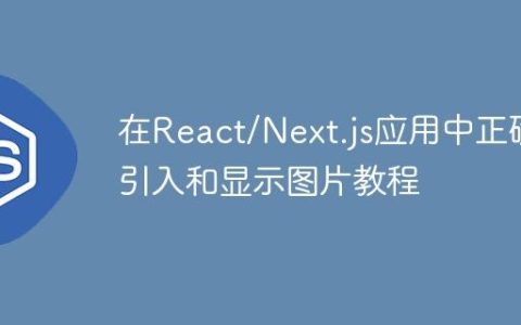 在React/Next.js应用中正确引入和显示图片教程