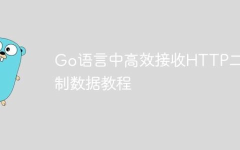 Go语言中高效接收HTTP二进制数据教程