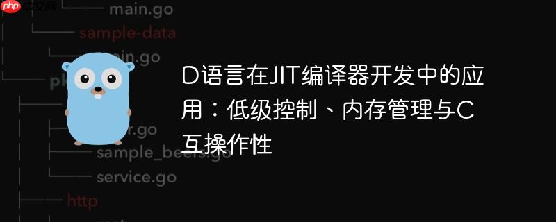 D语言在JIT编译器开发中的应用:低级控制、内存管理与C互操作性