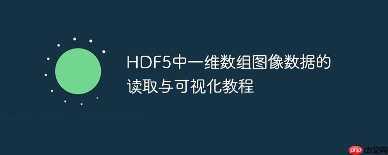 HDF5中一维数组图像数据的读取与可视化教程