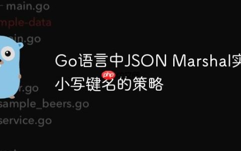 Go语言中JSON Marshal实现小写键名的策略