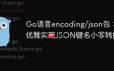 Go语言encoding/json包：优雅实现JSON键名小写转换