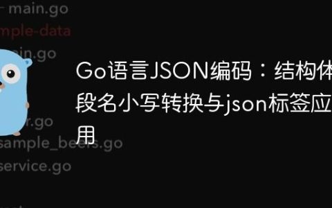 Go语言JSON编码：结构体字段名小写转换与json标签应用