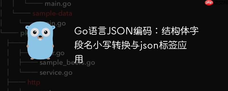 Go语言JSON编码：结构体字段名小写转换与json标签应用