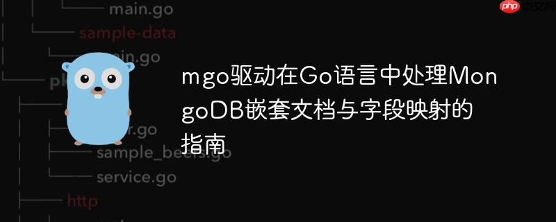 mgo驱动在Go语言中处理MongoDB嵌套文档与字段映射的指南