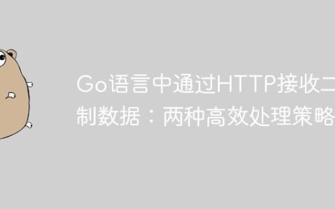 Go语言中通过HTTP接收二进制数据：两种高效处理策略