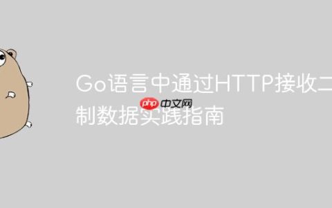Go语言中通过HTTP接收二进制数据实践指南