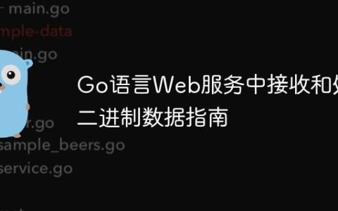 Go语言Web服务中接收和处理二进制数据指南