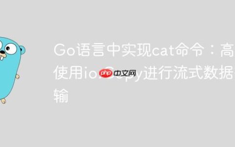 Go语言中实现cat命令：高效使用io.Copy进行流式数据传输