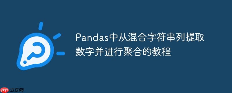 Pandas中从混合字符串列提取数字并进行聚合的教程
