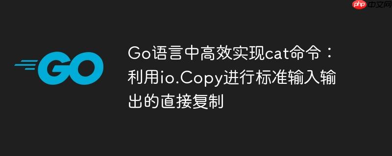 Go语言中高效实现cat命令：利用io.Copy进行标准输入输出的直接复制