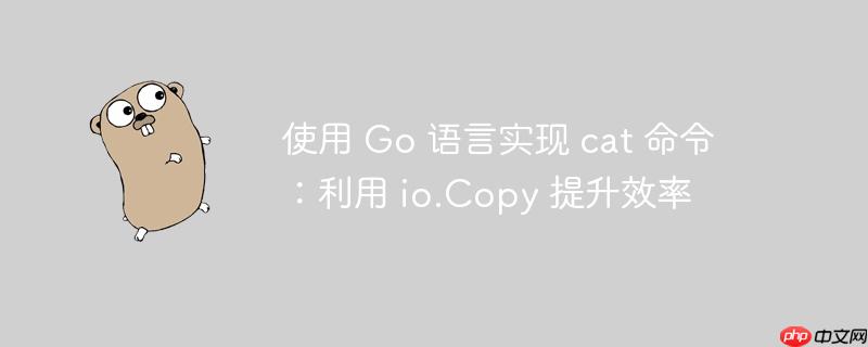 使用 go 语言实现 cat 命令:利用 io.copy 提升效率