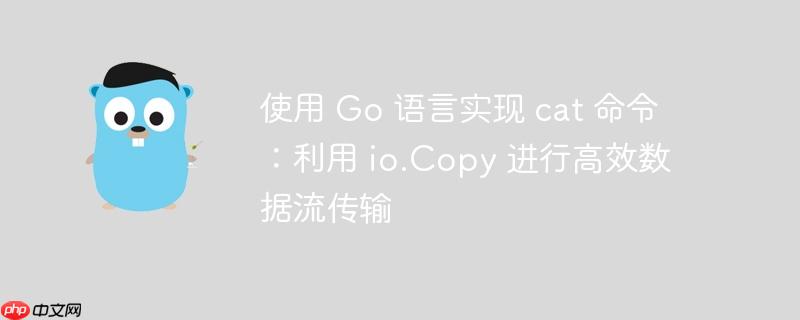 使用 go 语言实现 cat 命令:利用 io.copy 进行高效数据流传输