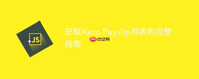 获取xero payslip列表的完整指南