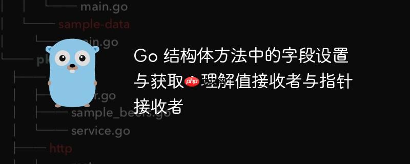 Go 结构体方法中的字段设置与获取:理解值接收者与指针接收者