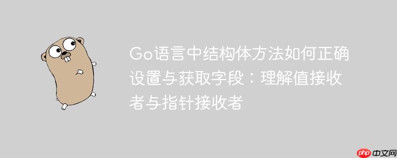 Go语言中结构体方法如何正确设置与获取字段:理解值接收者与指针接收者