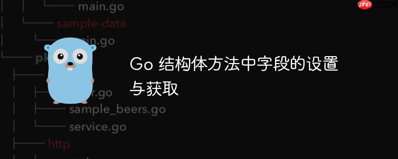 go 结构体方法中字段的设置与获取
