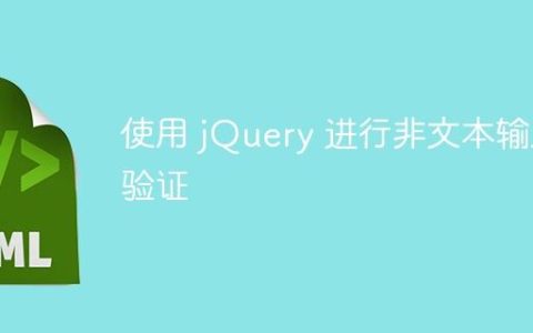 使用 jQuery 进行非文本输入验证