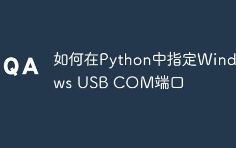 如何在Python中指定Windows USB COM端口