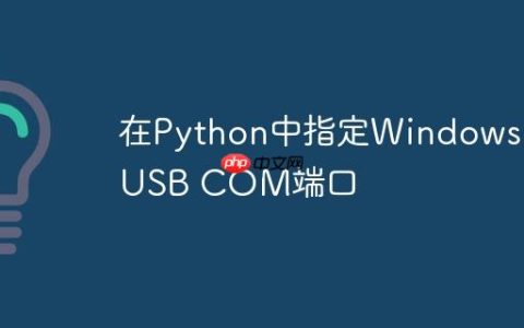 在Python中指定Windows USB COM端口