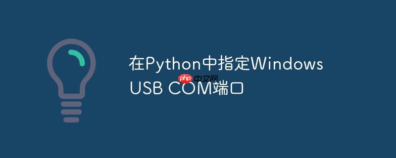 在python中指定windows usb com端口