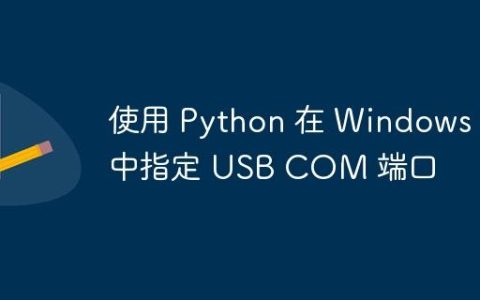 使用 Python 在 Windows 中指定 USB COM 端口