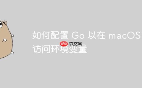 如何配置 Go 以在 macOS 中访问环境变量