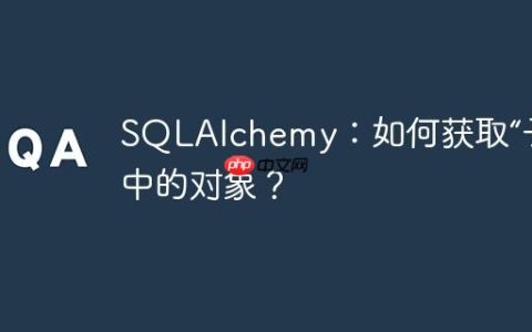 SQLAlchemy：如何获取“子”类中的对象？