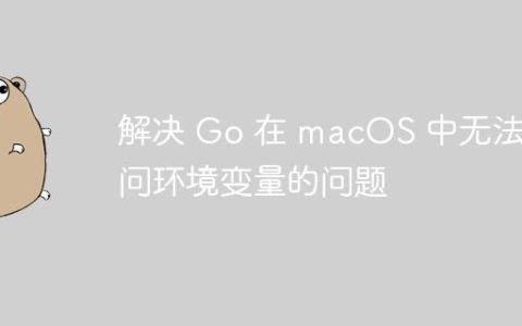 解决 Go 在 macOS 中无法访问环境变量的问题