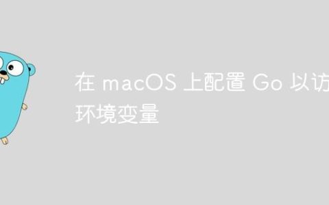 在 macOS 上配置 Go 以访问环境变量