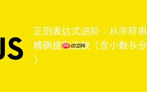 正则表达式进阶：从字符串中精确提取正数（含小数与分数）