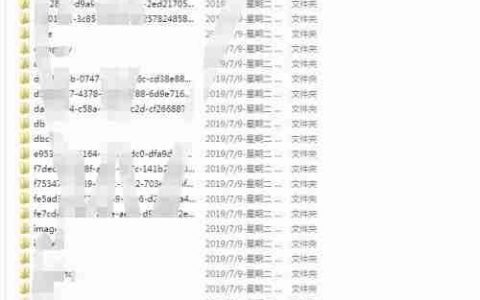 整站下载文件分类技巧