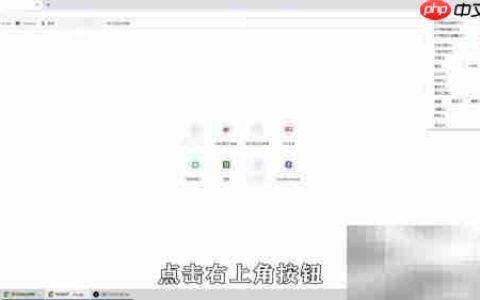 Google浏览器麦克风设置指南