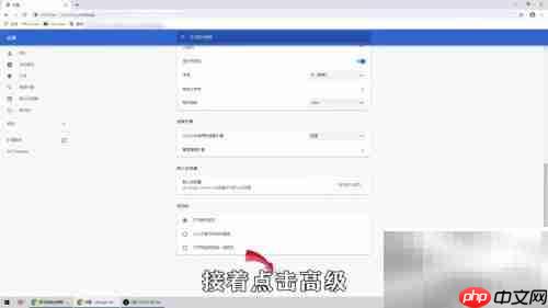 Google浏览器麦克风设置指南