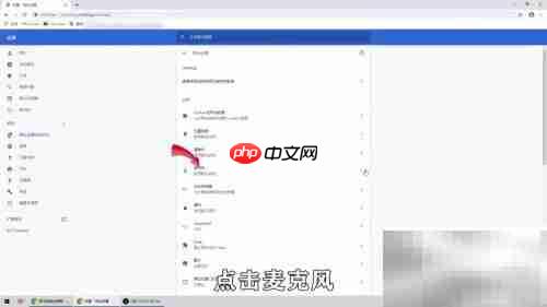 Google浏览器麦克风设置指南