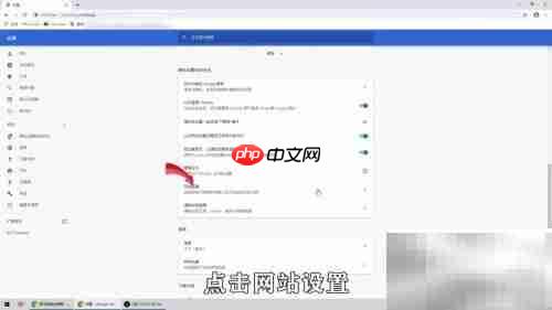Google浏览器麦克风设置指南
