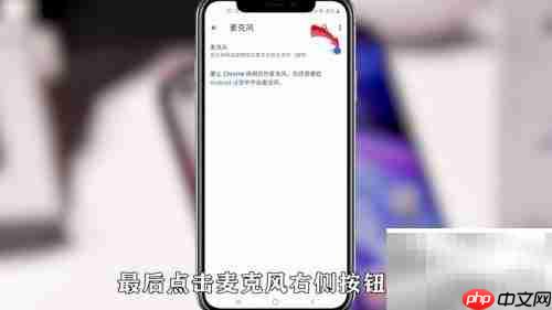 Google浏览器麦克风设置指南