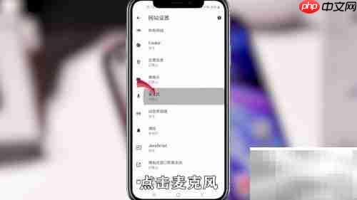 Google浏览器麦克风设置指南