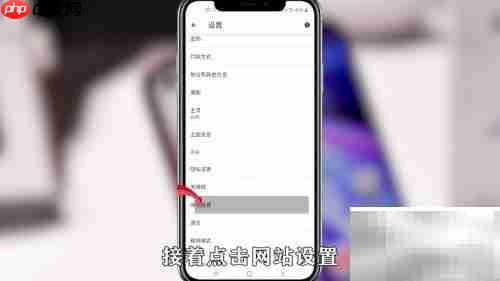 Google浏览器麦克风设置指南