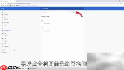 Google浏览器麦克风设置指南