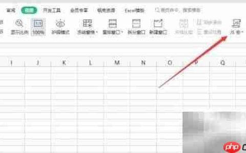 WPS宏编辑器位置指南