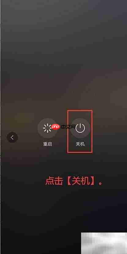 华为P30关机方法