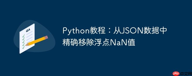 Python教程:从JSON数据中精确移除浮点NaN值