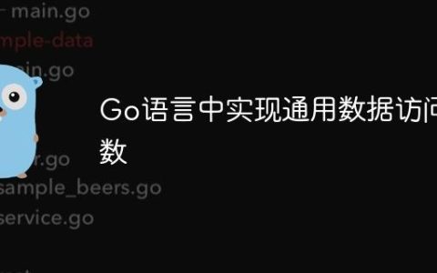 Go语言中实现通用数据访问函数