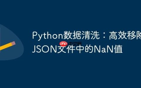 Python数据清洗：高效移除JSON文件中的NaN值