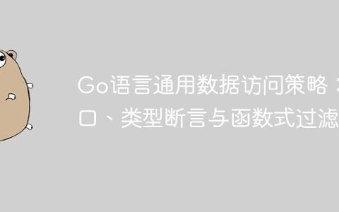 Go语言通用数据访问策略：接口、类型断言与函数式过滤