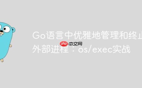 Go语言中优雅地管理和终止外部进程：os/exec实战